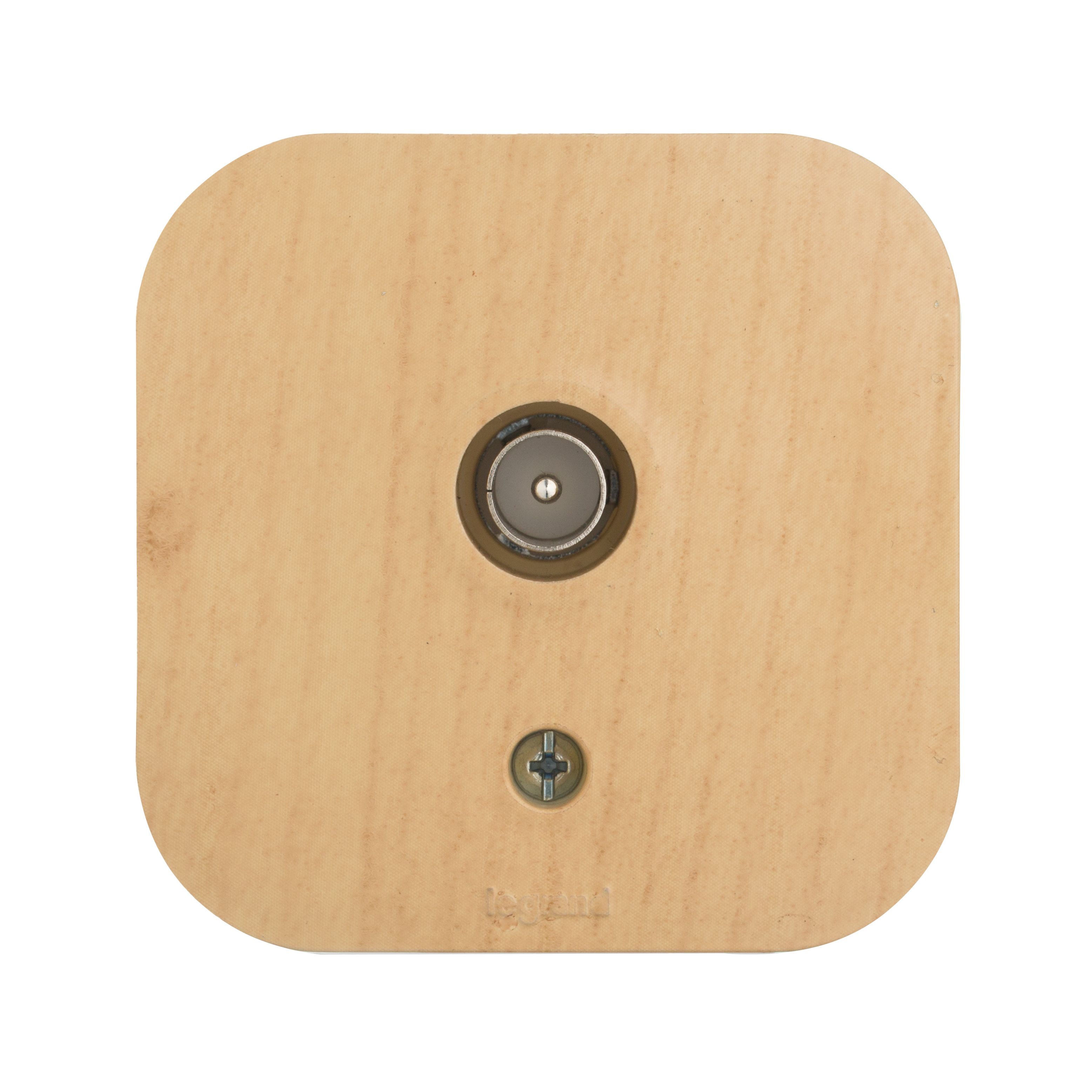Розетка TV IP20 (сосна) Quteo Legrand (782269)