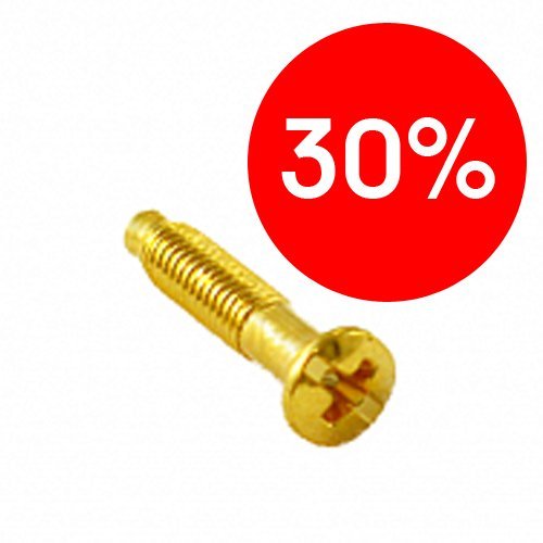 Винт для установки с силовыми TF и PC розетками металл (золото) BIRONI