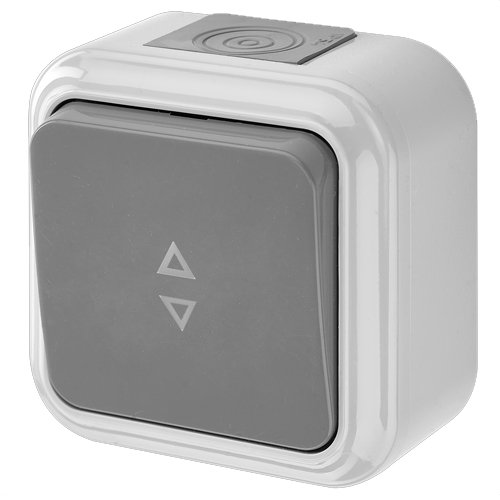 Выключатель ОУ 1кл на 2 направления IP54 (серый) Пралеска Аква