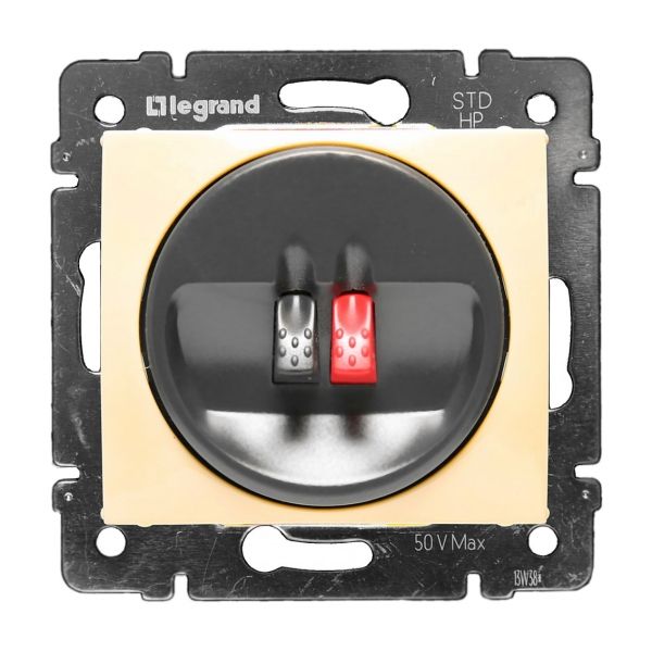 Розетка для динамиков (слоновая кость) Valena Classic Legrand (774123)