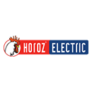 Horoz Electric