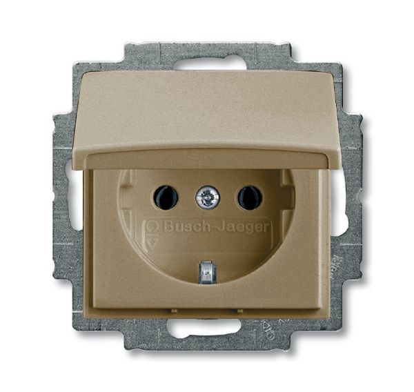 Розетка SCHUKO с крышкой 20 EUK-95 (шампань) Basic 55 ABB