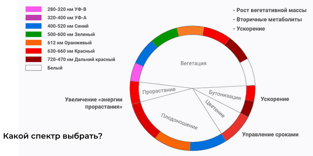 Спектр