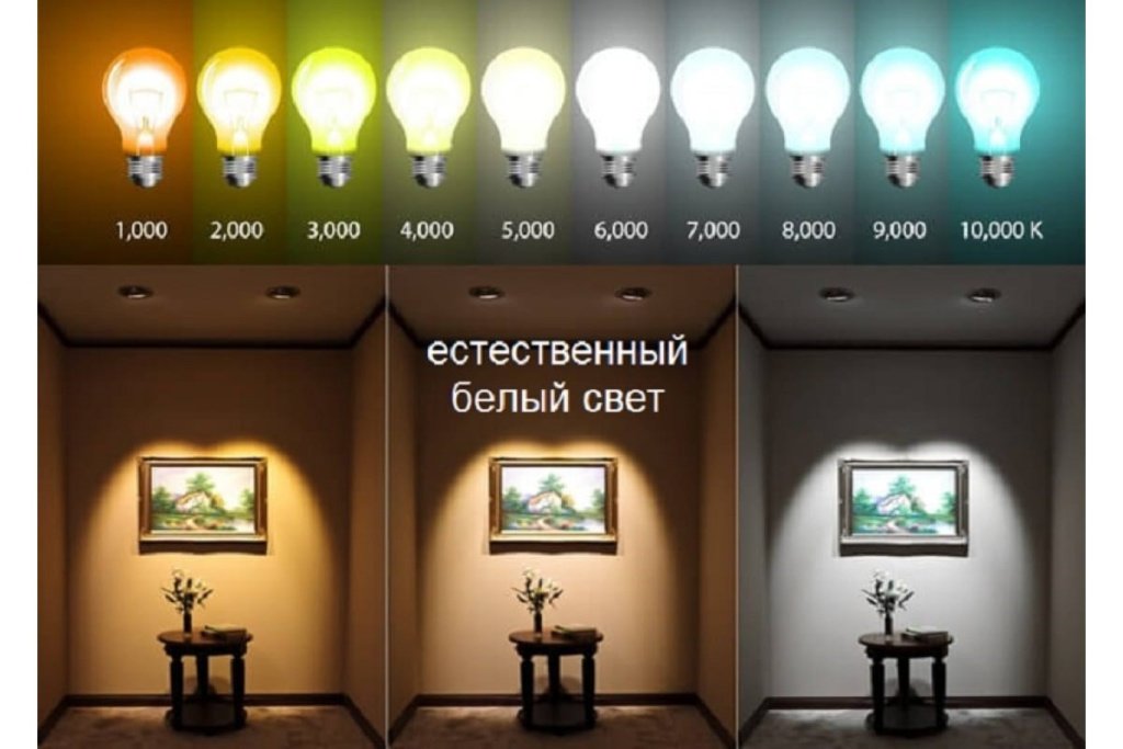 свет.jpg