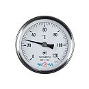 Термометр биметаллический накладной 63мм 0-120С БТ-1-63 ЭКОМЕРА (011-1538)