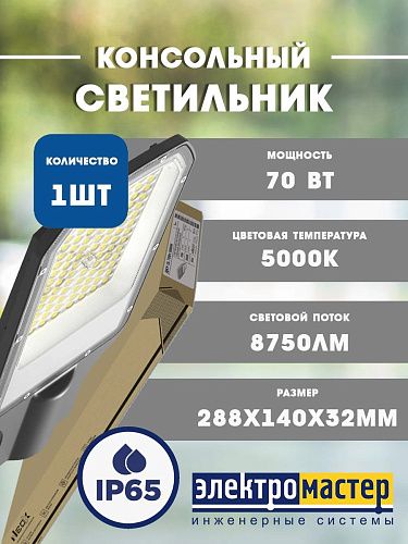 Светильник светодиодный уличный ДКУ-2L 70Вт 5000K 8750Лм 42-48мм IP65  линзованный NEOX