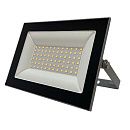 Прожектор светодиодный FL-LED Light-PAD 30Вт 4200К 2550Лм IP65 FOTON LIGHTING серый