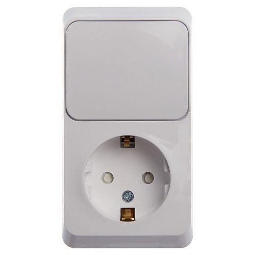 Блок ОУ: розетка с заземлением с защитными шторками + выключатель 1кл (белый) ЭТЮД SE