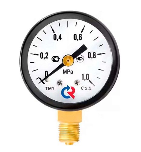 Манометр радиальный ТМ-310Р.00 (0-1 MPa) G1/4  63мм  КТ 2.5 РОСМА