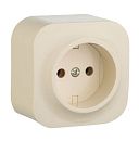 Розетка без заземления без шторок IP20 (слоновая кость) Quteo Legrand/Daccord (782240)