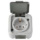 Розетка ОУ с заземлением IP54 (серый) Пралеска Аква