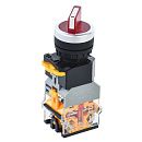 Переключатель D8-11XD2 2 положения 1з+1р с подсветкой красный ИЭК