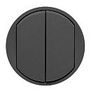 Клавиша для 2кл выключателя/переключателя (графит) Celiane Legrand (64901) Клавиша для 2кл выключателя/переключателя (графит) Celiane Legrand (64901)