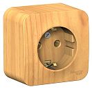 Розетка ОУ с заземлением с изолирующей пластиной (ясень) BLANCA SE