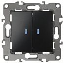 Выключатель 2кл с подсветкой 10АХ (антрацит) Эра12 ЭРА (12-1105-05) Выключатель 2кл с подсветкой 10АХ (антрацит) Эра12 ЭРА (12-1105-05)