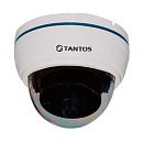 Цв. купольная в/кам 1/3 600ТВЛ 0.01лк.f=3.6мм 12В/0.1А TSc D600B 3.6