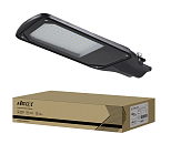 Светильник светодиодный уличный  ДКУ-2L 50Вт 5000K 6250Лм 42-48мм IP65 линзованный NEOX