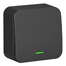 Выключатель ОУ 1кл с подсветкой схема 1 с изолирующей пластиной (антрацит) BLANCA SE