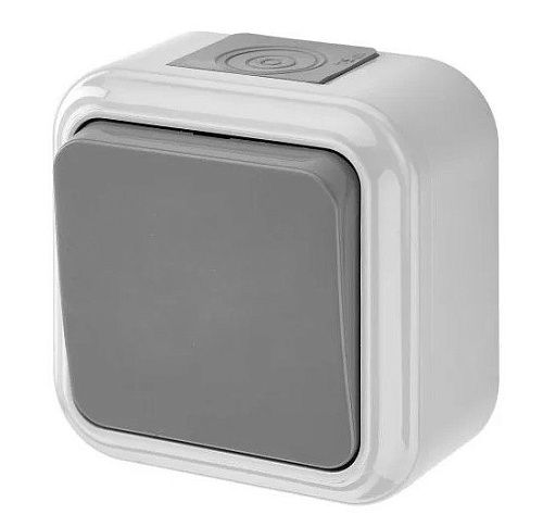 Выключатель ОУ 1кл IP54 (серый) Пралеска Аква