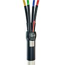 Муфта концевая термоусаживаемая 4ПКТп(б) мини - 2.5/10 для оконцевания проводов КВТ