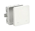 Коробка разветвительная ОУ 100х100х35мм с крышкой 12 вводов IP54 ТУСО Ruvinil