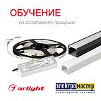 13 февраля семинар Arlight 13 февраля семинар Arlight