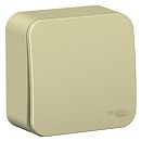 Выключатель ОУ 1кл с изолирующей пластиной (бежевый) BLANCA SE Выключатель ОУ 1кл с изолирующей пластиной (бежевый) BLANCA SE