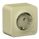 Розетка ОУ с заземлением с изолирующей пластиной (бежевый) BLANCA SE Розетка ОУ с заземлением с изолирующей пластиной (бежевый) BLANCA SE