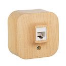 Розетка RJ11 IP20 (сосна) Quteo Legrand/Daccord (782274)